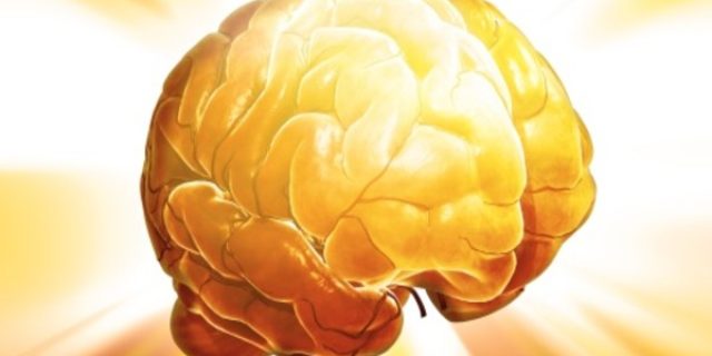 ¿Cómo funciona el cerebro cuando aprende?